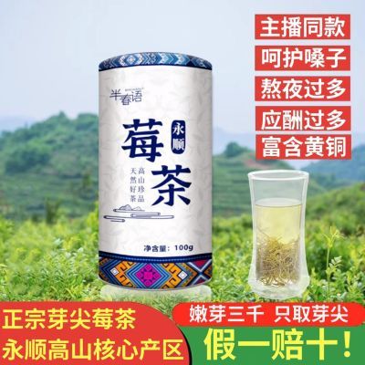 龙须莓茶芽尖张家界正品非野生正宗莓茶永顺茅岩霉茶养生富硒藤茶