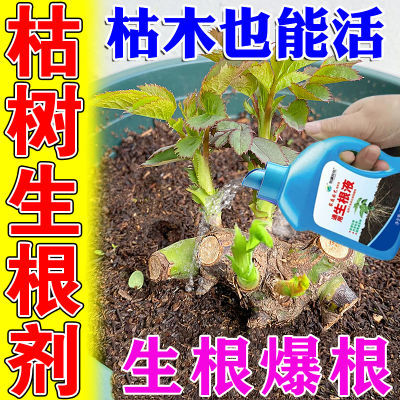 强力生根液正品速效猛生根移植扦插果树生根剂促芽僵苗快速发新芽