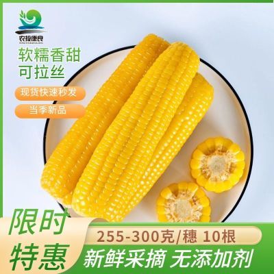 【惟有农本】10棒新鲜黄糯玉米非转基因国企品质真空包装整箱批