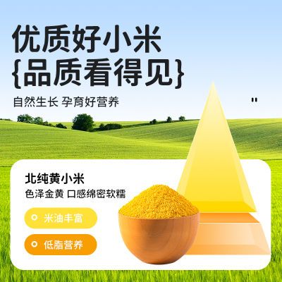北纯东北农家黄小米5斤小米煮粥小黄米1斤小米米油多粥米杂粮米