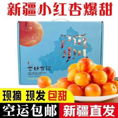 【空运包邮】新疆小红杏手提礼盒装阿克苏伊犁当季新鲜水果甜杏子