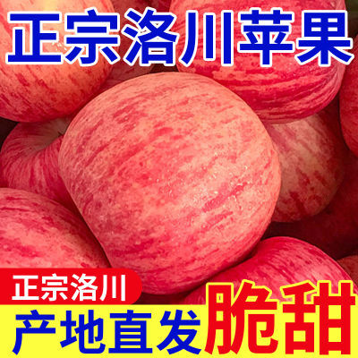 【拒绝假冒】洛川苹果陕西正宗红富士新鲜水果脆甜冰糖心10斤礼盒