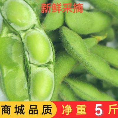 现摘新鲜带壳毛豆新鲜青豆农家自种鲜嫩青毛豆大青豆包邮