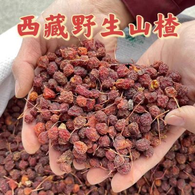 野生纯天然藏山楂无硫新货山楂泡水泡酒改善肠胃中药材即食茶饮