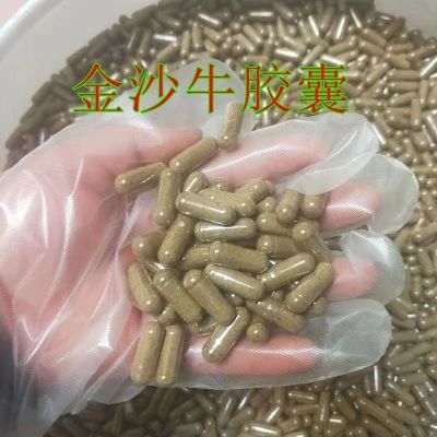 金沙牛粉中药材地牯牛整只野生倒退虫蚁狮金砂牛金沙牛粉