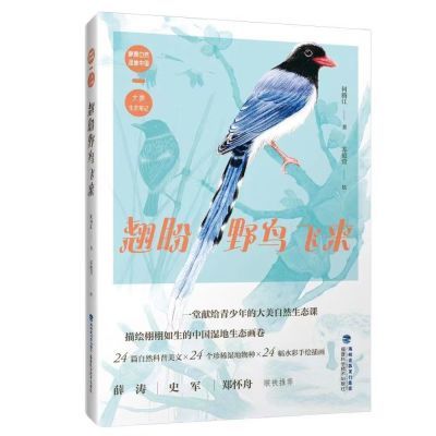 【2024彩色】翘盼野鸟飞来神福建省暑假读一本好书3-4年级小学阅