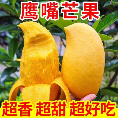 【刚降价】云南鹰嘴芒果当季新鲜水果大芒果薄皮小芒果10斤批发