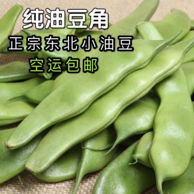 东北油豆角 九月青开锅烂豆角应季蔬菜现摘现发 坏单包赔一件包邮