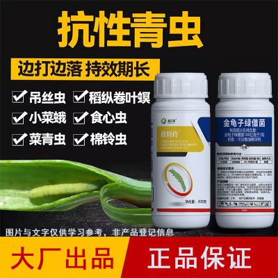 金龟子绿僵菌抗性青虫杀虫剂花生黑头虫玉米螟豆角果树吊丝虫