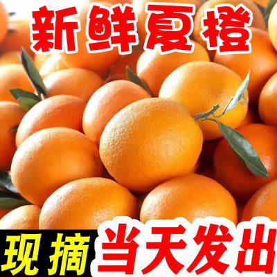 新鲜夏橙子当季水果手剥冰糖甜橙非江西赣南的脐橙整箱批发价榨汁
