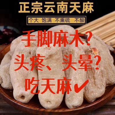 云南昭通天麻野生特级头晕正宗头疼纯天然草坝无硫新鲜正品干货