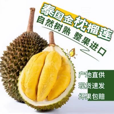 【活动中】正宗泰国进口金枕头榴莲新鲜当季水果一整箱批发现货