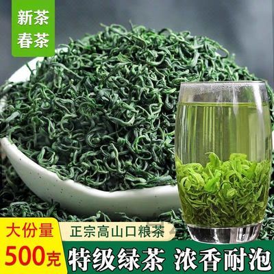 特级绿茶正品2024新茶正宗绿茶新鲜浓香型高山云雾绿茶散装504g