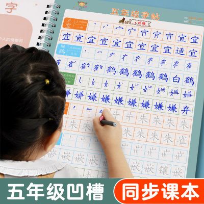 五年级上册语文凹槽同步字帖下册生字带拼音组词小学生硬笔描红本