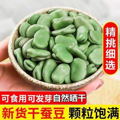 2024新货青皮干蚕豆自种农家绿皮罗汉豆胡豆发芽可种兰花豆批