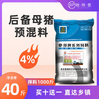 4%后备母猪复合预混料浓缩型维生素补钙补铁补锌微量元素繁殖兽用