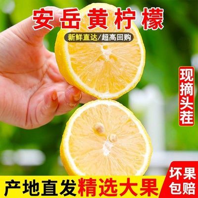 四川安岳黄柠檬独立包装当季新鲜水果切片榨汁泡茶批发价整箱包邮