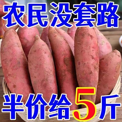 板栗蜜薯10斤新鲜红薯农家自种西瓜红糖心地瓜山东烟薯番薯小香