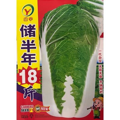 储半年18 斤冬储白菜种子 包心白菜种子