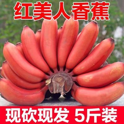 正宗红皮香蕉土楼特产红美人水果零添加催熟整箱批发香蕉新鲜