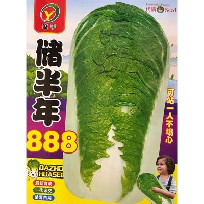 储半年888白菜种子秋菜王 舒心大白菜种子大棵黄心腌渍不烂大白菜