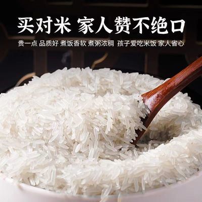 正宗农家香米当季现磨新米丝苗米长粒香米品质纯正大米米香优选