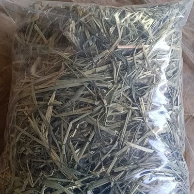 24年头茬晒干提摩西草兔子草,纯天然无农药,自产自销