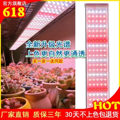 led植物生长灯多肉补光灯上色全光谱防徒家用室内花卉法师仿太阳