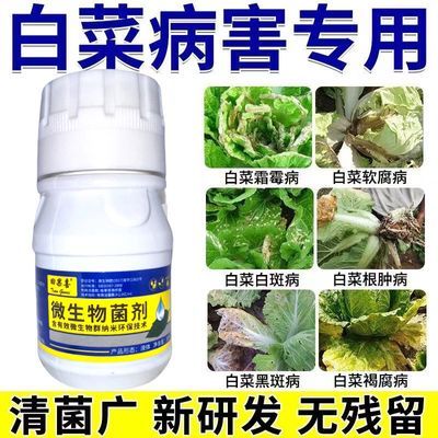 大白菜专用药病全治全能王腐烂软腐病白锈病大根病根肿病药打虫药