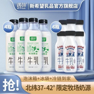 新希望遇鲜牧场限定牛乳700ml*4+今日鲜奶铺255ml*6 网红低温鲜奶