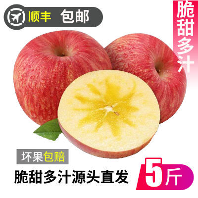 【顺丰】王掌柜山东烟台苹果红富士冰糖心礼盒装4.5-5斤大果整箱