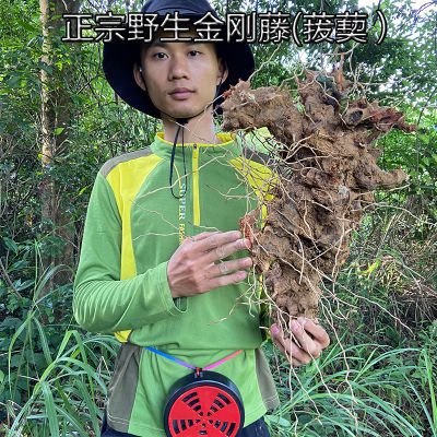 野生金刚藤干货菝葜祛湿金刚藤生鲜煲汤泡酒煮水中药材无添加