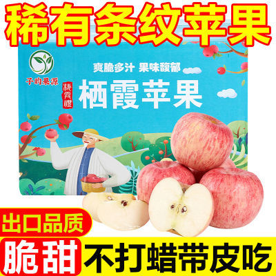 【条纹苹果】山东烟台红富士苹果新鲜水果栖霞苹果水果批发一整箱