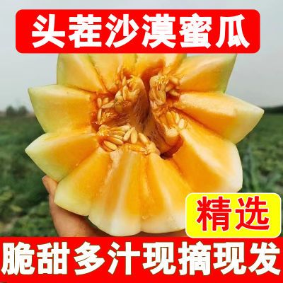 甘肃【民勤蜜瓜】沙漠黄河蜜瓜甜瓜甜香黄皮红肉新鲜水果