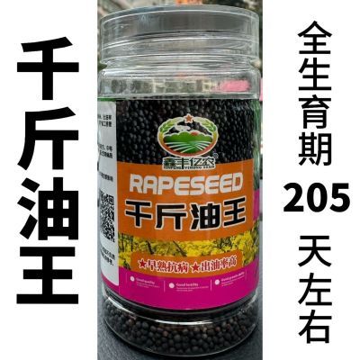 千斤油王 全生育期约205天中早熟油菜籽矮杆早熟大荚大粒高油抗病