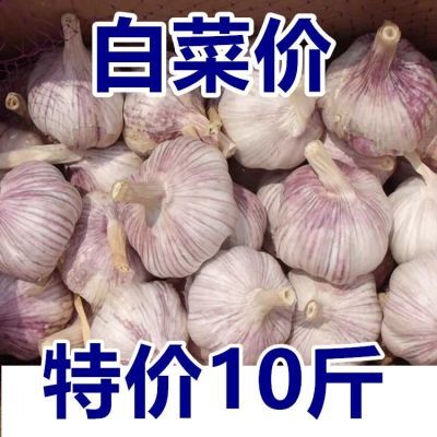 10斤大干批发价优质紫皮白皮便宜土特产