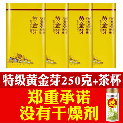 2024新茶【特级黄金芽】正宗浓香型黄金叶珍稀白茶绿茶叶罐装