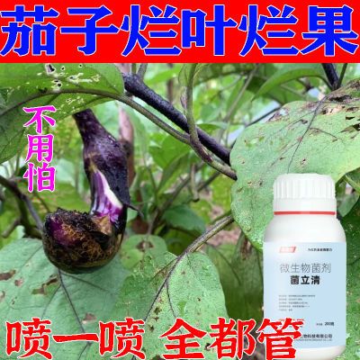 茄子烂果药腐皮烂身专用药茄子病全治炭疽病菌核病绵疫病枯萎病剂