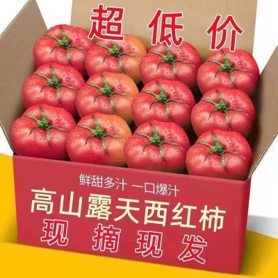 普罗旺斯西红柿新鲜水果现摘沙瓤番茄农家自然熟孕妇生吃整箱包邮
