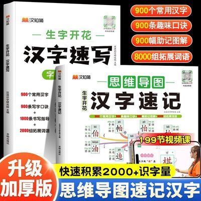 小学生生字开花汉字速记速写升级版语文思维导图练习幼儿识字启蒙