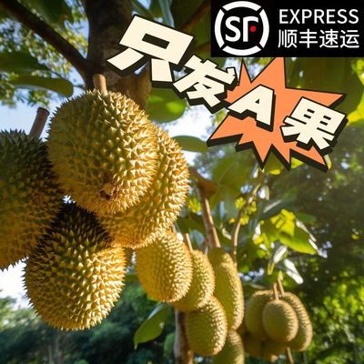 [顺丰包邮]正宗泰国进口金枕榴莲新鲜带壳应季水果现货批发一整