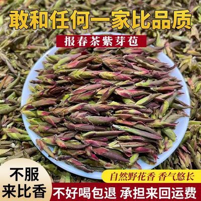 2024年云南头春茶野生紫芽苞茶古树白芽孢茶普洱茶生茶野花香散茶