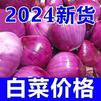 【新鲜现挖】特大精品农家紫皮水果整箱批发生吃甜脆正宗红皮圆葱