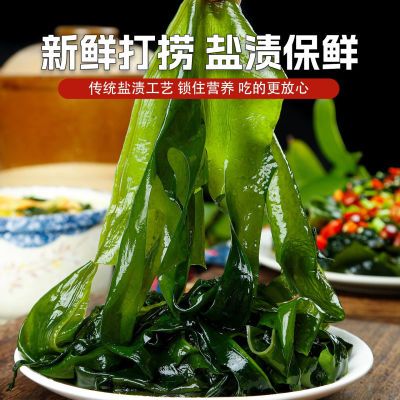 新鲜无沙T5斤裙带菜海带苗裙带菜海白菜海菜海藻海白菜嫩正宗新鲜