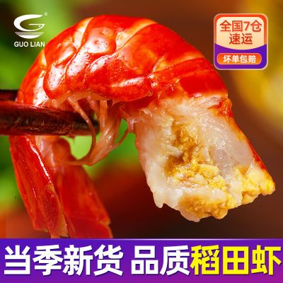 ڲˮˮ䶳СϺβ500g/ҹʳȴһϺβϺ32.6Ԫ