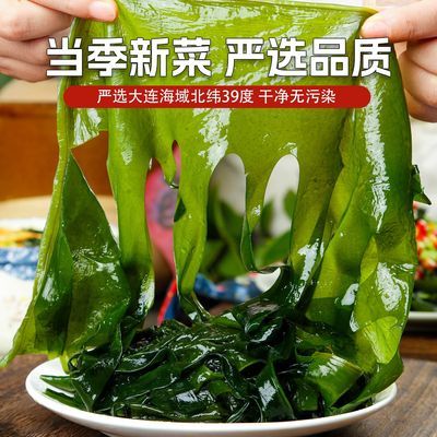 盐渍裙带菜T5斤裙带菜海带苗裙带菜海白菜海菜海藻海白菜嫩正宗