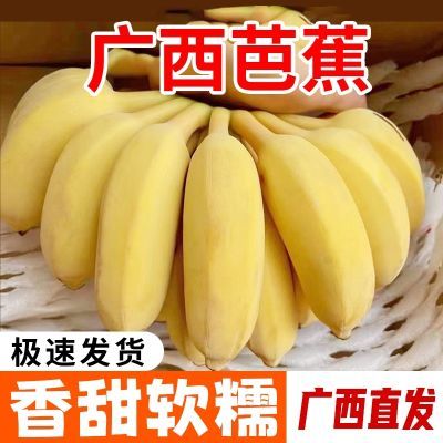 正宗广西大芭蕉牛角焦酸甜糯薄皮一整箱新鲜香蕉水果大巴蕉芭蕉