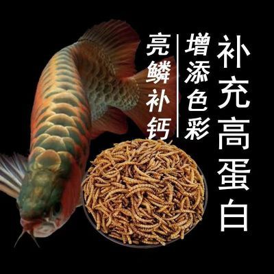 龙鱼专用饲料金龙鱼银龙鱼饲料上浮型鱼食面包虫干金鱼饲料