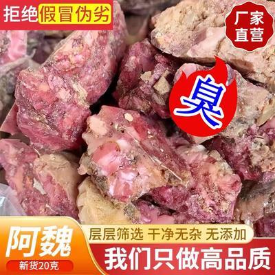 正宗新疆五彩阿魏钓鱼小药野钓诱饵黑坑泡酒天然打窝黄鳝甲鱼饵料