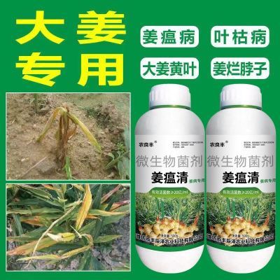 正品大姜姜专用药姜瘟清专用农药黄叶姜瘟烂脖子姜瘟病专用药防治